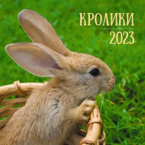 Календарь настенный перекидной на 2023 год Символ года 1