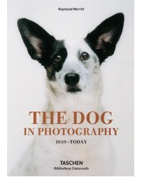 The Dog in Photography 1839–Today