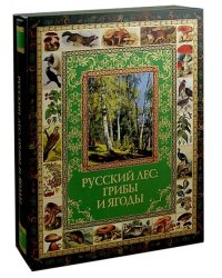 Русский лес. Грибы и ягоды (в футляре)