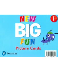 New Big Fun 1. Picture Cards