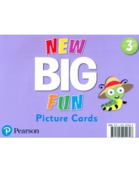 New Big Fun 3. Picture Cards