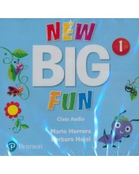 CD-ROM. New Big Fun. Level 1. Class Audio