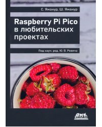 Raspberry Pi Pico в любительских проектах