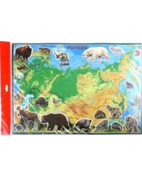 Географический пазл. Животные и Природные Зоны Российской Федерации
