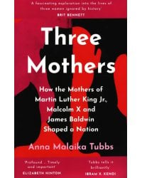 Three Mothers. How the Mothers of Martin Luther King Jr, Malcolm X and James Baldwin Shaped a Nation