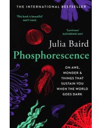 Phosphorescence. On Awe, Wonder &amp; Things That Sustain You When the World Goes Dark