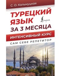 Турецкий язык за 3 месяца. Интенсивный курс