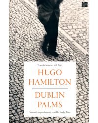 Dublin Palms