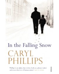 In the Falling Snow