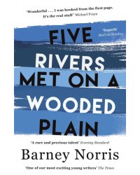 Five Rivers Met on a Wooded Plain