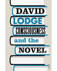 Consciousness And The Novel