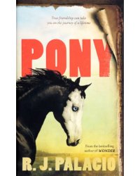 Pony