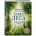 Сила леса. Как деревья помогают нам обрести здоровье и радость