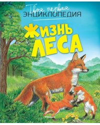 Жизнь леса