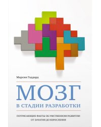 Мозг в стадии разработки. Потрясающие факты об умственном развитии от зачатия до взросления