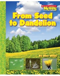 From Seed to Dandelion