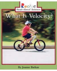 What Is Velocity?