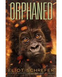 Orphaned