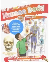 DKfindout! Human Body Poster