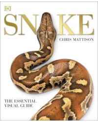 Snake. The Essential Visual Guide