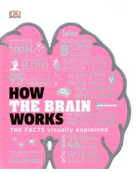 How the Brain Works