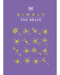 Simply The Brain