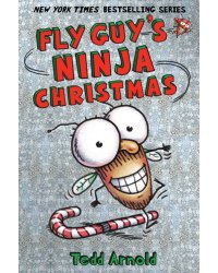 Fly Guy's Ninja Christmas