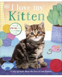 I Love My Kitten. A Pop-Up Book About the Lives of Cute Kittens