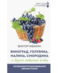 Виноград, голубика, малина, смородина и другие любимые ягоды. Особенности выращивания своими руками