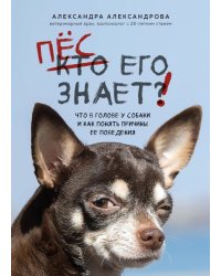 Пес его знает! Что в голове у собаки, и как понять причины ее поведения