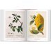 A Garden Eden. Masterpieces of Botanical Illustrat