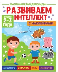 Развиваем интеллект.2-3г. (с накл.)