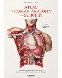 Atlas of Human Anatomy and Surgery