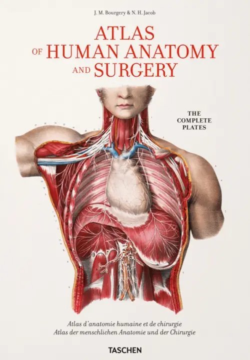 Atlas of Human Anatomy and Surgery