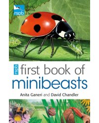 RSPB First Book Of Minibeasts