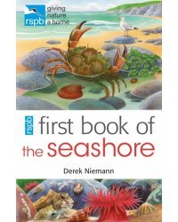 RSPB First Book Of The Seashore