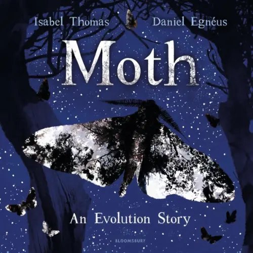 Moth. An Evolution Story