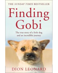 Finding Gobi. The True Story of a Little Dog and an Incredible Journey