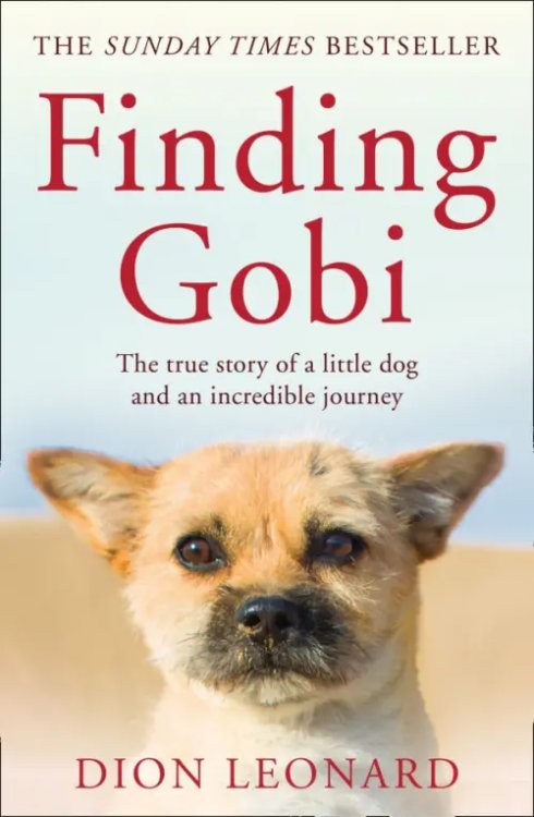 Finding Gobi. The True Story of a Little Dog and an Incredible Journey