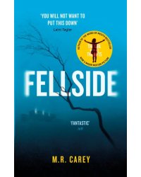 Fellside