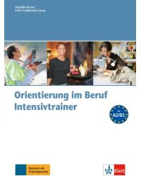 Orientierung im Beruf. Erfolgreich handeln im Beruf. Intensivtrainer mit Audio-CD