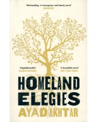 Homeland Elegies