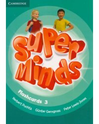 Super Minds. Level 3. Flashcards