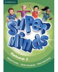 Super Minds. Level 2. Flashcards, pack of 103
