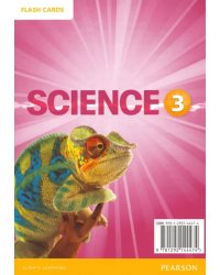 Big Science 3. Flashcards
