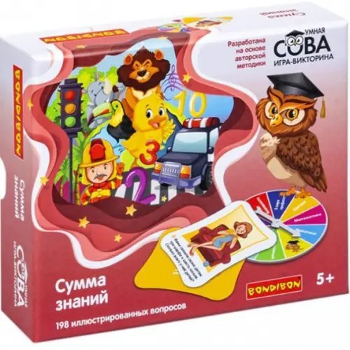 Игра-викторина Сумма знаний