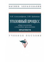 Уголовный процесс: общие положения и досудебное производство. Практикум. Учебное пособие