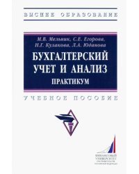 Бухгалтерский учет и анализ. Практикум. Учебное пособие