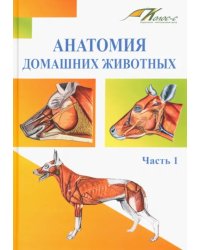 Анатомия домашних животных. Часть 1