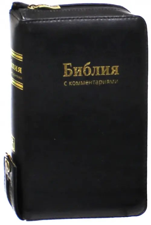 Библия. Книги Священного Писания Ветхого и Нового Завета. С комментариями и приложениями